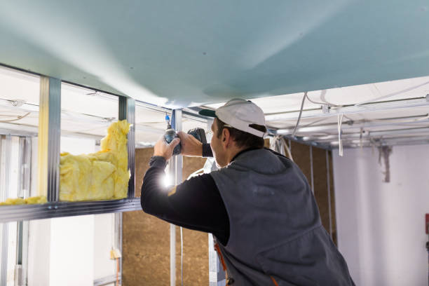 Best Insulation for Specific Applications in Greenville, NC